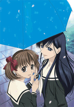 Дева Мария смотрит за вами 1